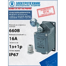 Выключатель концевой ВК-300 БР11-67У2-22 Электротехник ET051926