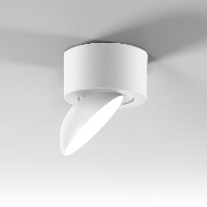 25053/LED / светильник потолочный светодиодный / белый