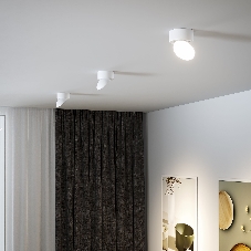 25053/LED / светильник потолочный светодиодный / белый
