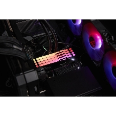 Оперативная память Kingston Fury Beast RGB, DDR5, 32GB (1x32GB), 5600 MHz, CL40, с радиатором, RGB, чёрный