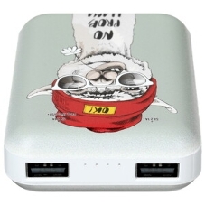 Портативный аккумулятор RITMIX RPB-10007 Lama