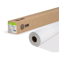 Холст Cactus CS-MC230-106730 42