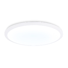 Потолочный светодиодный светильник FZ1232 WH белый IP44 48W 6400К D450*55 (Без ПДУ)
