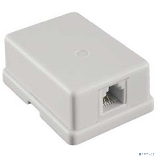 Розетка внешняя Exegate EX271122RUS RJ-45 кат.5/5E UTP Krone/110