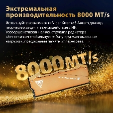 Оперативная память Patriot Viper Xtreme 5 Aurum, DDR5, 32GB (2x16GB), 6000 MHz, CL30, с радиатором, золотистый