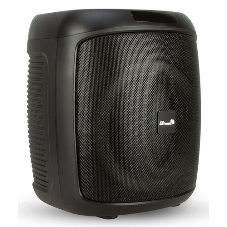 Колонка ELTRONIC 08