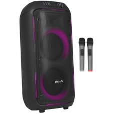 Колонка Eltronic 08