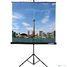 Экран на штативе Lumien Eco View 180x180 см (раб.область 174х174 см) Matte White с возможностью настенного крепления 1:1