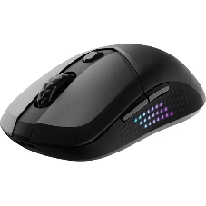 Мышь беспроводная/проводная MSI Versa 300 Elite черный, 26000 dpi, радиоканал, Bluetooth, USB, кнопки - 6