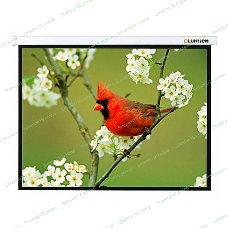 Экран Lumien 305x305 см Master Picture LMP-100107 1:1 настенно-потолочный рулонный