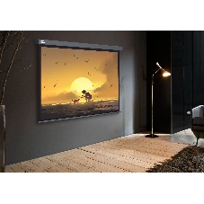 Экран Cactus 124.5x221 см Wallscreen CS-PSW-124X221-SG 16:9 настенно-потолочный рулонный серый