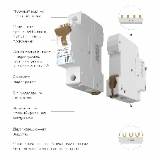 Автоматический выключатель Werkel 1P 40 A C 4,5 кА W901P404