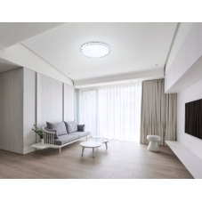 Потолочный светодиодный светильник Ambrella light FZ1246 WH белый IP54 12W 5000K D240*60 (Без ПДУ)