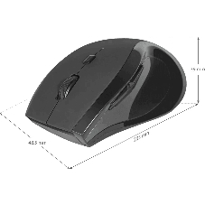 Мышь беспроводная Defender Accura MM-295 черный, 1600 dpi, радиоканал, USB, кнопки - 6