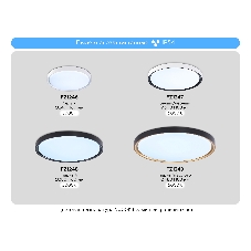 Потолочный светодиодный светильник Ambrella light FZ1246 WH белый IP54 12W 5000K D240*60 (Без ПДУ)