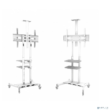 Стойка для телевизора с кронштейном ONKRON TS1881 50