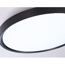 Потолочный светодиодный светильник Ambrella light FZ1248 BK черный IP54 30W 5000K D380*60 (Без ПДУ)