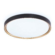 Потолочный светодиодный светильник Ambrella light FZ1249 BK/GD черный/золото IP54 45W 5000K D480*60 (Без ПДУ)
