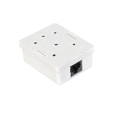 Розетка внешняя Exegate EX271122RUS RJ-45 кат.5/5E UTP Krone/110