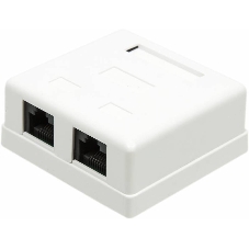 Розетка TWT (TWT-SM2-4545-WH) настенная 2 порта RJ-45 категории 5е. UTP. белая