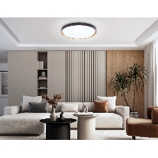 Потолочный светодиодный светильник Ambrella light FZ1249 BK/GD черный/золото IP54 45W 5000K D480*60 (Без ПДУ)