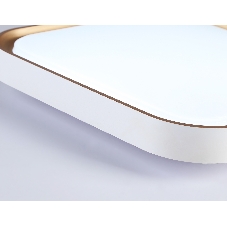 Потолочный светодиодный светильник Ambrella light FZ1253 WH/GD белый/золото 18W 5000K 250*250*60 (Без ПДУ)