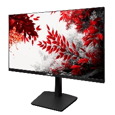 Монитор RDW Computers 31.5