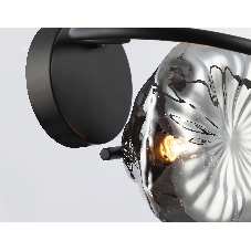Светильник Ambrella light LH15005 BK/SM черный/дымчатый G9 max 40W 195*210*170