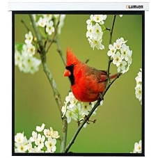 Экраны LUMIEN LUMIEN Master Picture LMP-100129 220*220 1:1, черная кайма по периметру