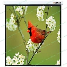 Экраны LUMIEN LUMIEN Master Picture LMP-100129 220*220 1:1, черная кайма по периметру