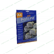 Бумага для термопереноса изображения на светлую ткань с термоиндикатором БТ-С-А4-20, 0,17мм, А4, 20