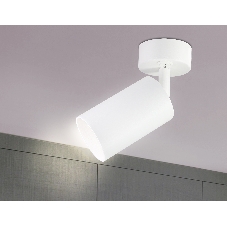 Накладной спот с выключателем Ambrella light TA126 WH белый GU10 max 12W D70*164*D55