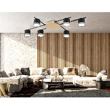 Потолочный светильник Ambrella light FL51756/6 BK/GD черный/золото GX53/6 max 12W 870*570*110