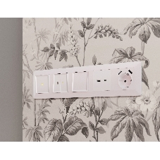 Лицевая панель ALFA (Жемчуг) для розетки 2USB тип A+C QUANT AP2110