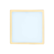 Встраиваемый cветодиодный светильник Ambrella light DCR335 18W+6W 6400K/3000K 85-265V 170*170*32 (A155*155)