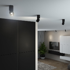 Светильник потолочный светодиодный 25042/LED 10W 4000K чёрный