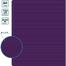 Папка на 2-х кольцах Бюрократ DeLuxe DL0740/2BBERRY A4 пластик 0.7мм кор.32мм черничный