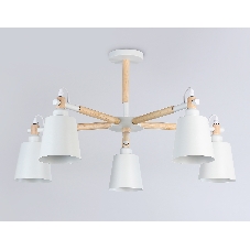 Светильник Ambrella light TR82208/5 WH/LW белый/светлое дерево E27/5 max 40W D780*430