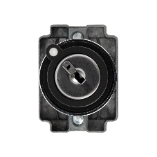 Переключатель Rexant BD21 2P с замком NO