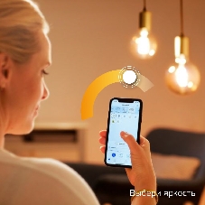 Лампа светодиодная филаментная Gauss Smart Home DIM E14 C35 4,5 Вт 1/10/40