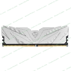 Оперативная память NETAC, DDR5, 16Gb (1x16Gb), 4800MHz, CL40, DIMM, с радиаторами, белый