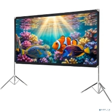 Экран с двойным штативом Lumien LSV-100102 Sky View рабочая область 124х221 см 100