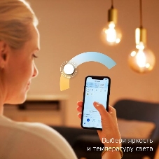 Лампа светодиодная Gauss филаментная Smart Home DIM+CCT E27 Diamond Golden 6,5 Вт 2000-5500К 1370112