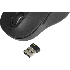 Мышь беспроводная Logitech Signature M650 L графитовый, 4000 dpi, радиоканал, Bluetooth, USB, кнопки - 5