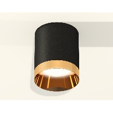 Светильник Ambrella Light XS6302024 SBK/PYG черный песок/золото желтое полированное MR16 GU5.3 (C6302, N6134)