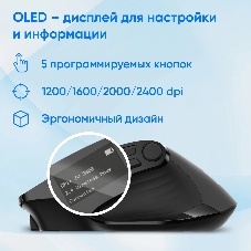 Мышь беспроводная Oklick 502MW черный, 2400 dpi, радиоканал, Bluetooth, USB, кнопки - 9