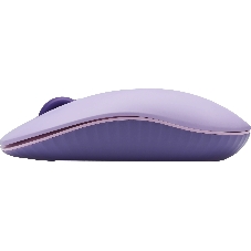 Мышь беспроводная Acer OMR205 фиолетовый, 1200 dpi, радиоканал, USB, кнопки - 3