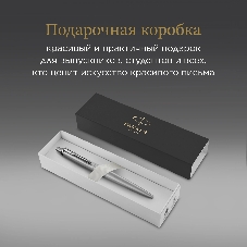 Ручка шариковая Parker Jotter Monochrome XL SE20 (CW2122756) Stainless Steel, M, синие чернила, подарочная коробка
