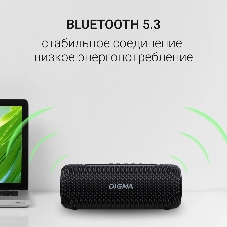 Колонка портативная Digma D-PS1524 черный 20W 2.0 BT 10м 2000mAh