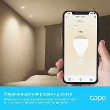 Умная диммируемая Wi-Fi лампа TP-Link Tapo L610